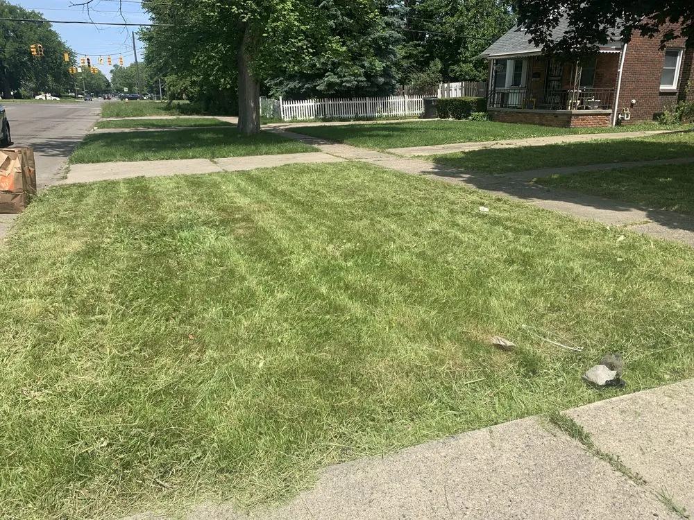 Affordable yard cleanup service experts serving Detroit, MI - P&P lawn service and snow removal