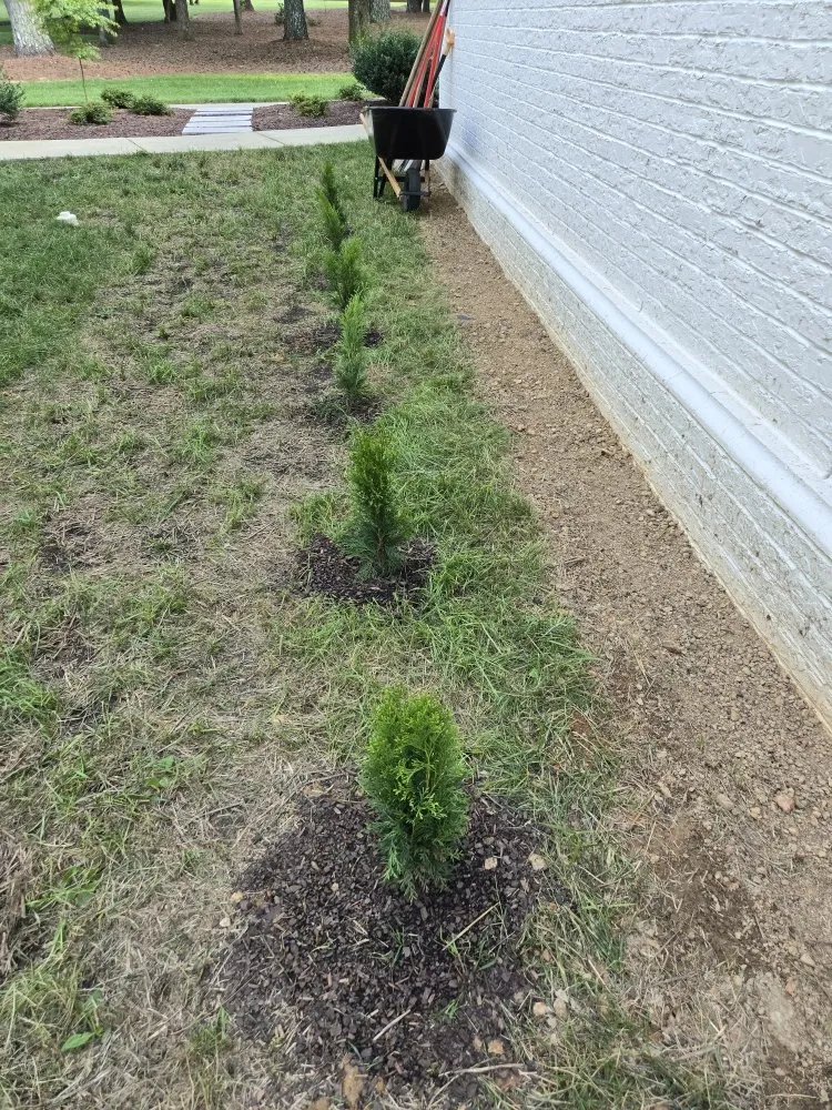 Trusted landscape installation for year-round maintenance across Chapel Hill, NC - P&P Lawncare and Landscaping Services