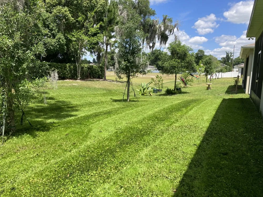 Local landscaping services in Orange City, FL - PPL Lawn Service