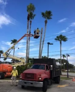 Professional garden landscaping in Kissimmee, FL - PPM Outdoor