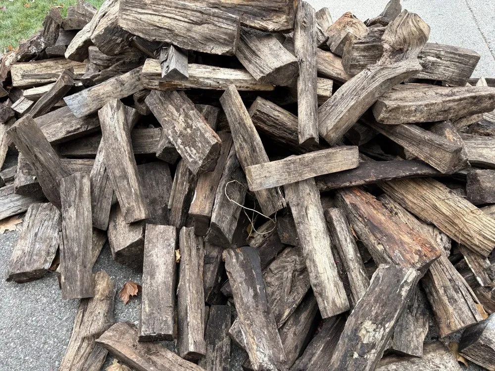 Local yard cleanup service in Westland, MI - PPM Tree Service And Arbor Care