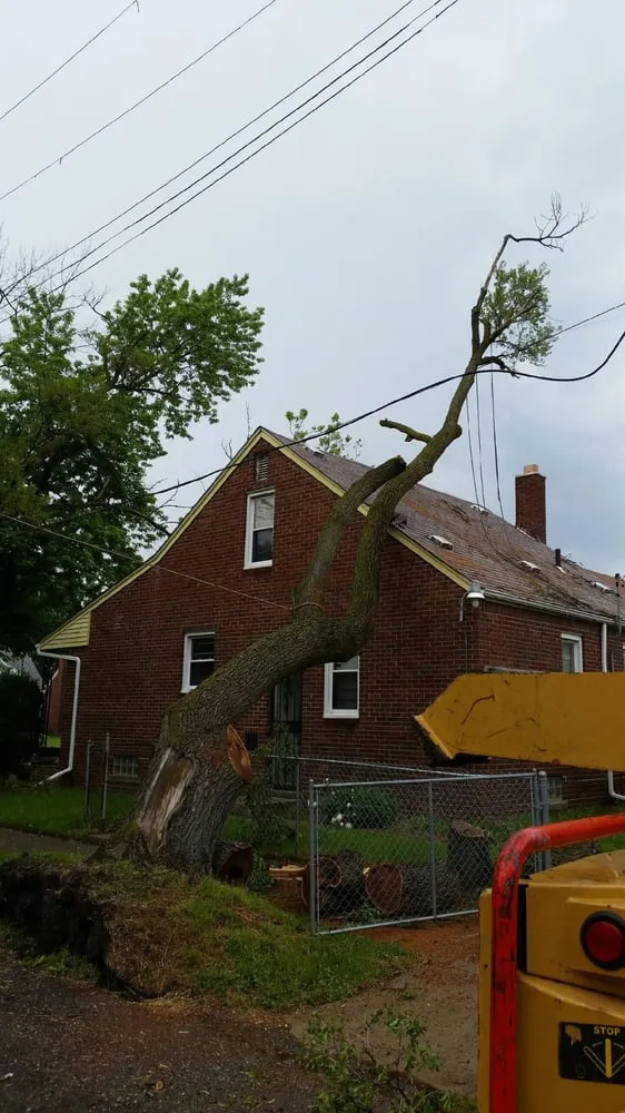 Local landscaping services experts serving Westland, MI - PPM Tree Service And Arbor Care