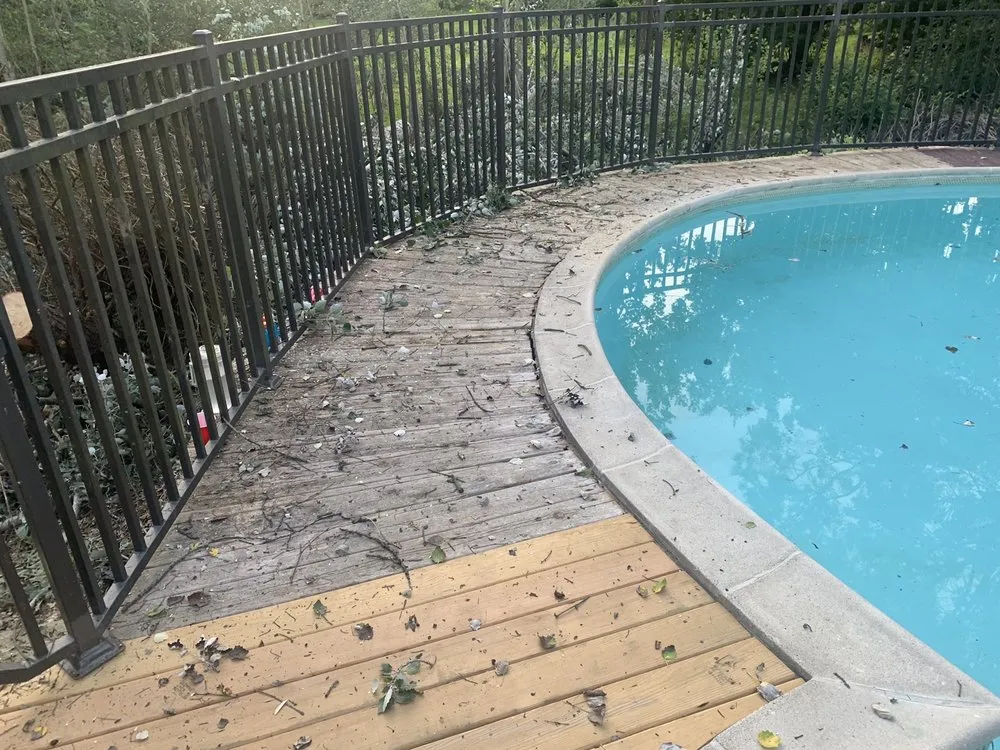 Expert yard maintenance in Westland, MI - PPM Tree Service And Arbor Care