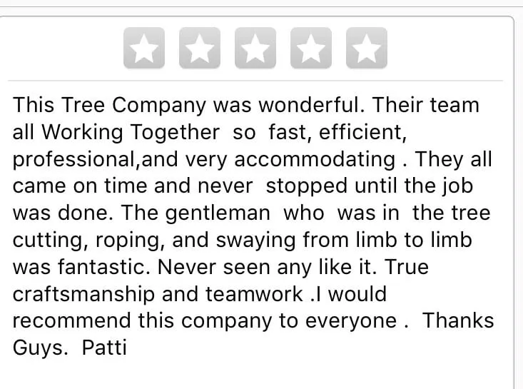 Custom landscaping services experts serving Westland, MI - PPM Tree Service And Arbor Care