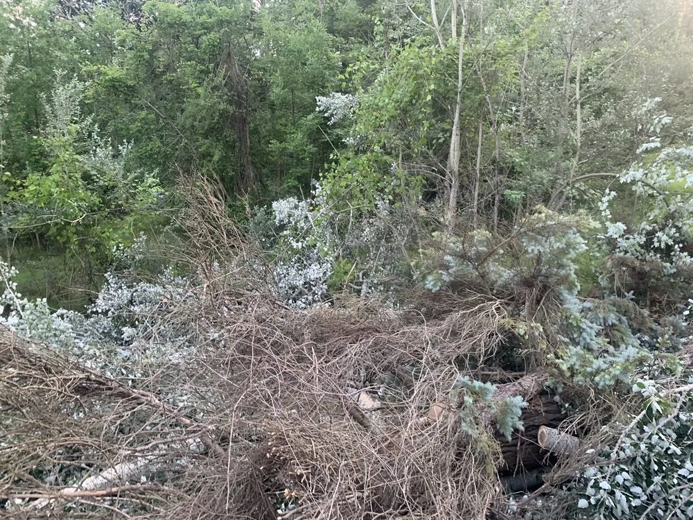 Affordable lawn care service experts serving Westland, MI - PPM Tree Service And Arbor Care