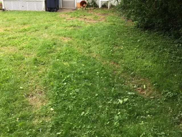 Affordable yard maintenance experts serving Westland, MI - PPM Tree Service And Arbor Care