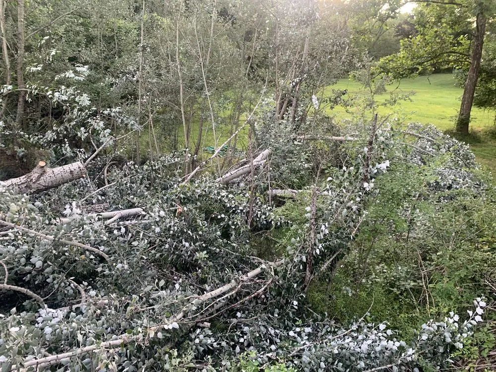 Trusted landscape design with custom design across Westland, MI - PPM Tree Service And Arbor Care