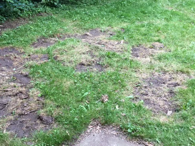 Custom landscape installation for residential properties in Westland, MI by PPM Tree Service And Arbor Care