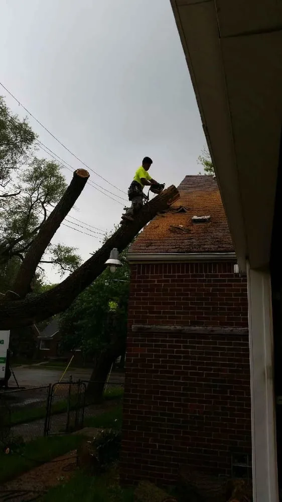 Affordable residential landscaping for homes across Westland, MI - PPM Tree Service And Arbor Care