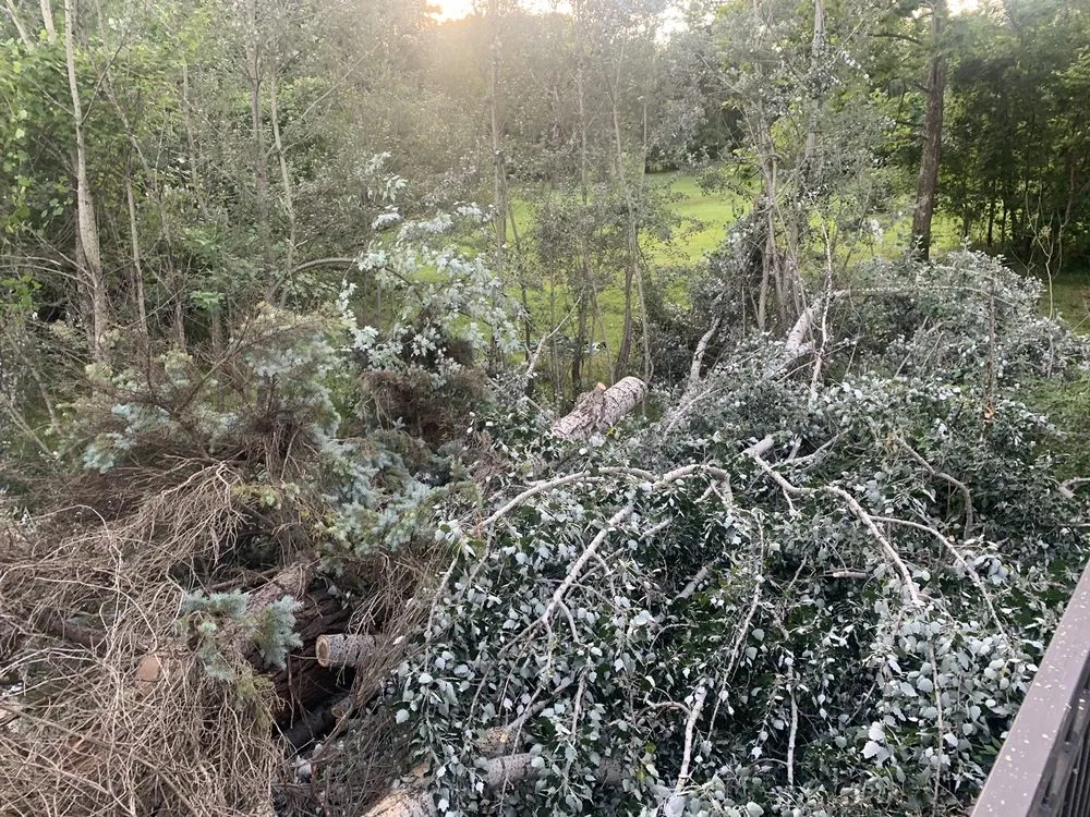 Top-rated lawn care service in Westland, MI - PPM Tree Service And Arbor Care