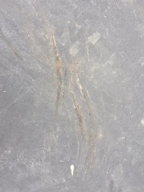 Top-rated landscape installation with custom design across Westland, MI - PPM Tree Service And Arbor Care