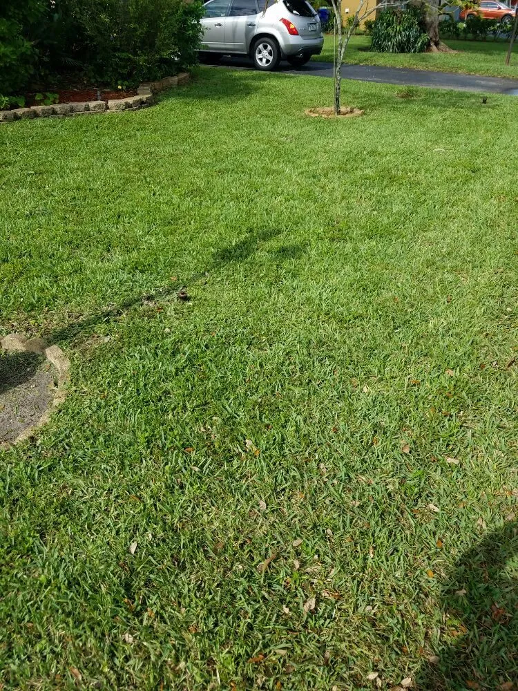 Custom yard maintenance for outdoor upgrades across Fort Lauderdale, FL - PPP Lawn Care