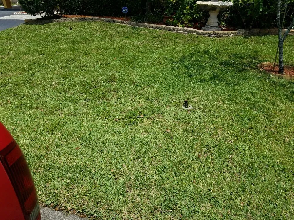 Expert yard cleanup service in Fort Lauderdale, FL - PPP Lawn Care