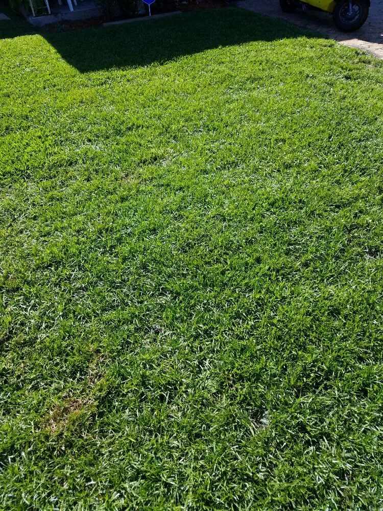 Local residential landscaping experts serving Fort Lauderdale, FL - PPP Lawn Care