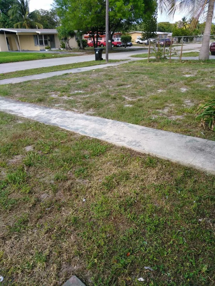Local residential landscaping experts serving Fort Lauderdale, FL - PPP Lawn Care