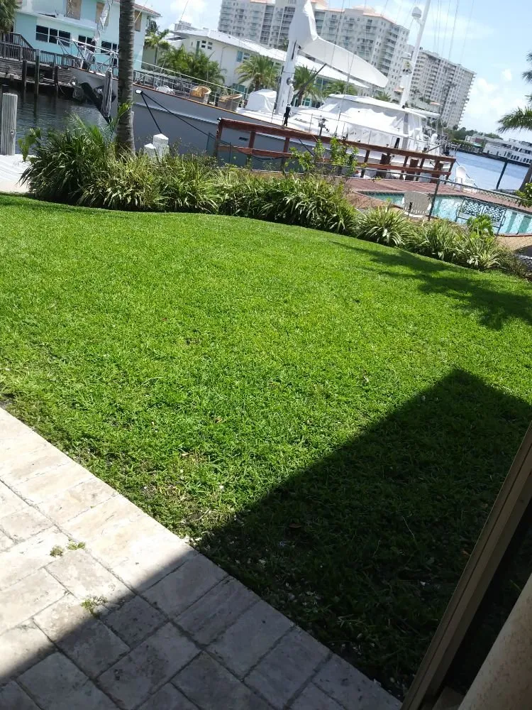 Expert lawn care service for beautiful yards across Fort Lauderdale, FL - PPP Lawn Care