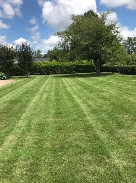 Custom landscaping services experts serving Mexico, NY - PPS Landscaping