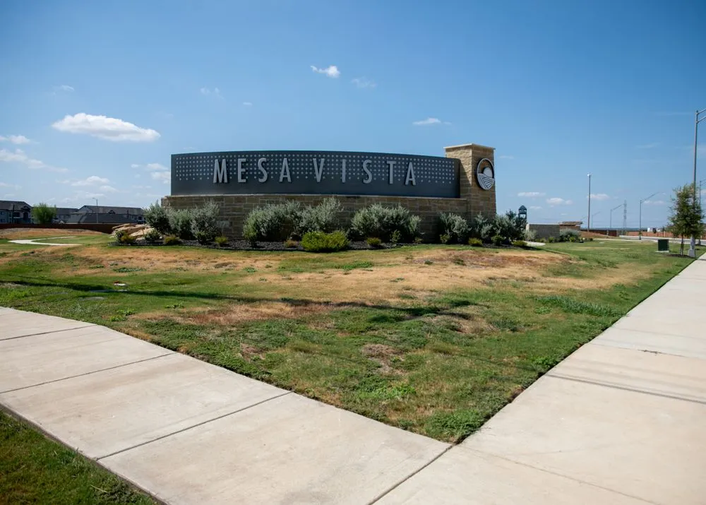 Local yard cleanup service in San Antonio, TX by PQN Services