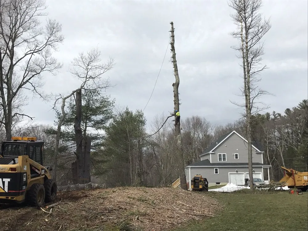 Top-rated residential landscaping for beautiful yards in Easton, MA by PR Anderson Tree & Landscape