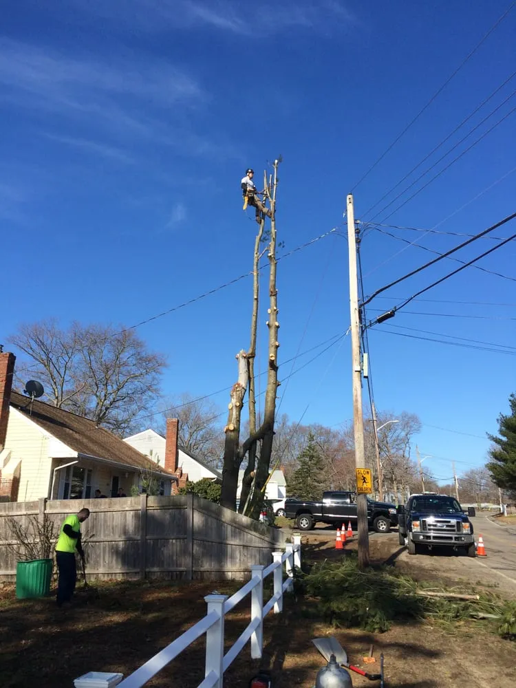 Custom landscape design experts serving Easton, MA - PR Anderson Tree & Landscape