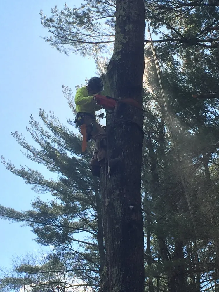 Professional landscaping services in Easton, MA - PR Anderson Tree & Landscape