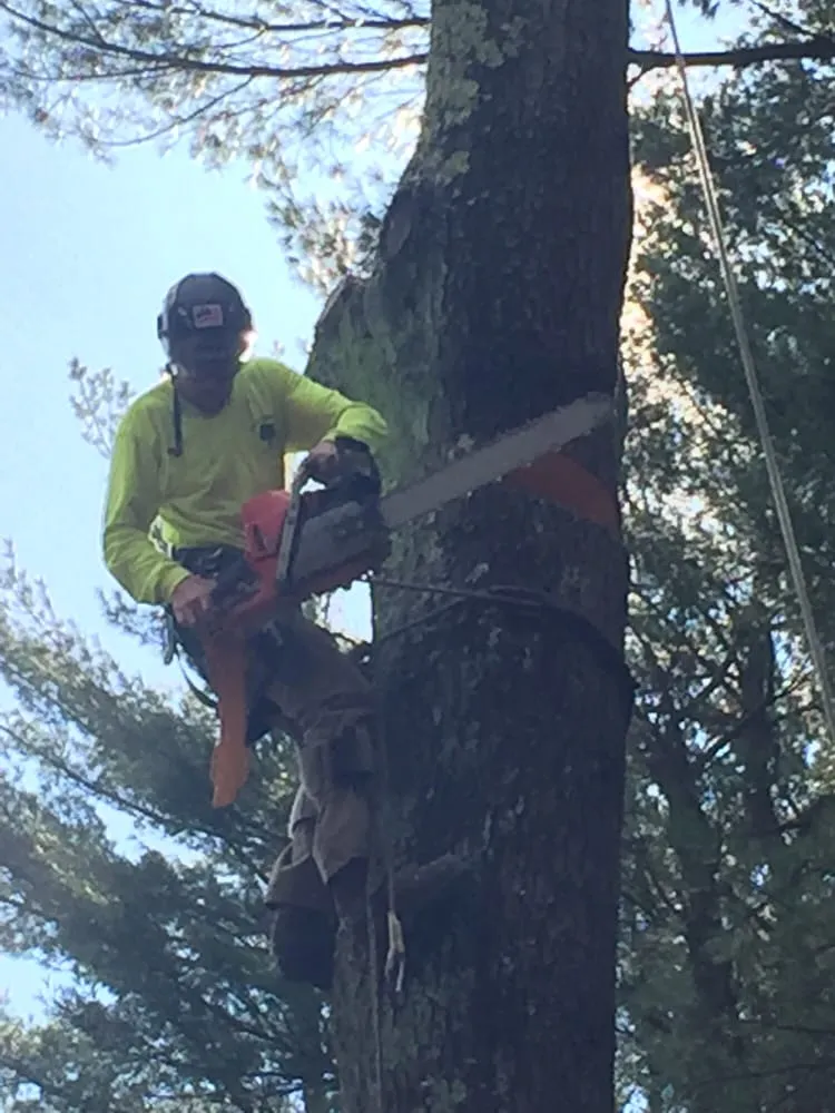 Trusted landscape installation near you across Easton, MA - PR Anderson Tree & Landscape