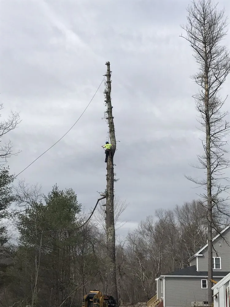 Affordable garden landscaping for outdoor upgrades across Easton, MA - PR Anderson Tree & Landscape