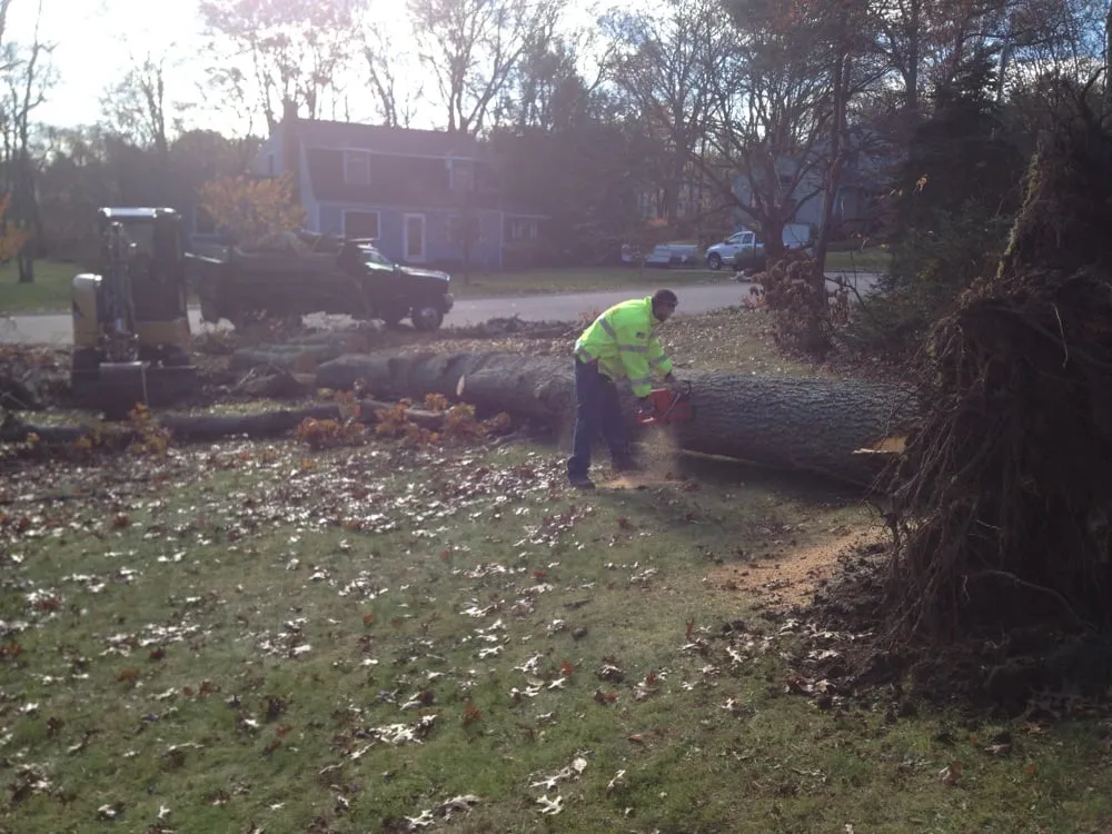 Affordable landscape design for beautiful yards in Easton, MA by PR Anderson Tree & Landscape