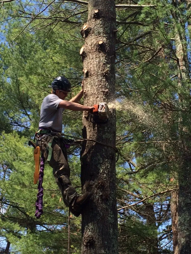 Expert landscape design in Easton, MA by PR Anderson Tree & Landscape