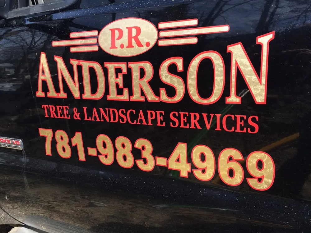 Professional yard cleanup service in Easton, MA - PR Anderson Tree & Landscape