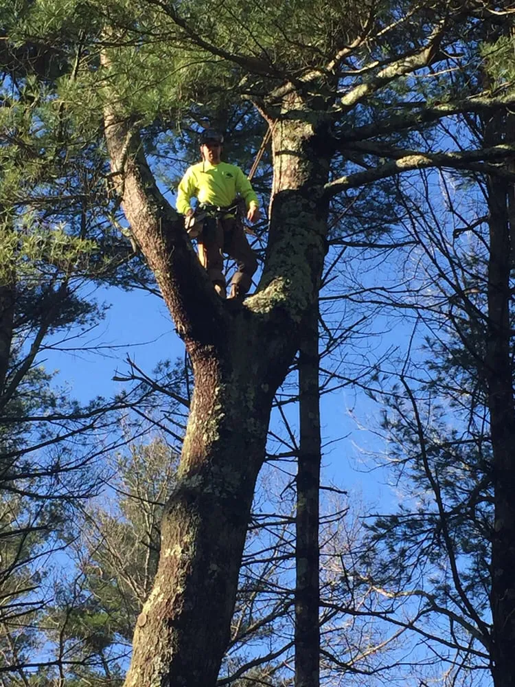 Top-rated garden landscaping in Easton, MA by PR Anderson Tree & Landscape