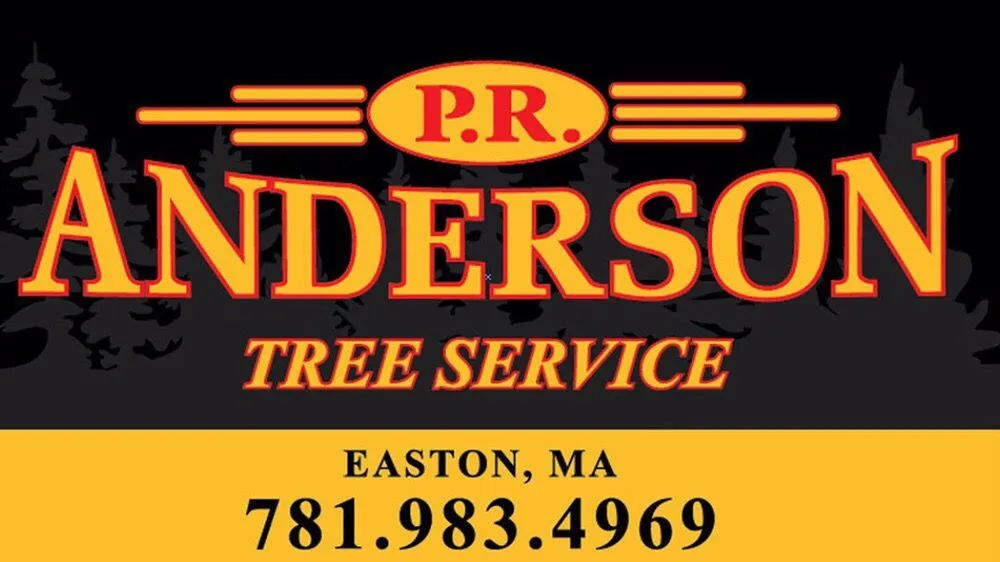 Affordable yard cleanup service for homes in Easton, MA by PR Anderson Tree & Landscape
