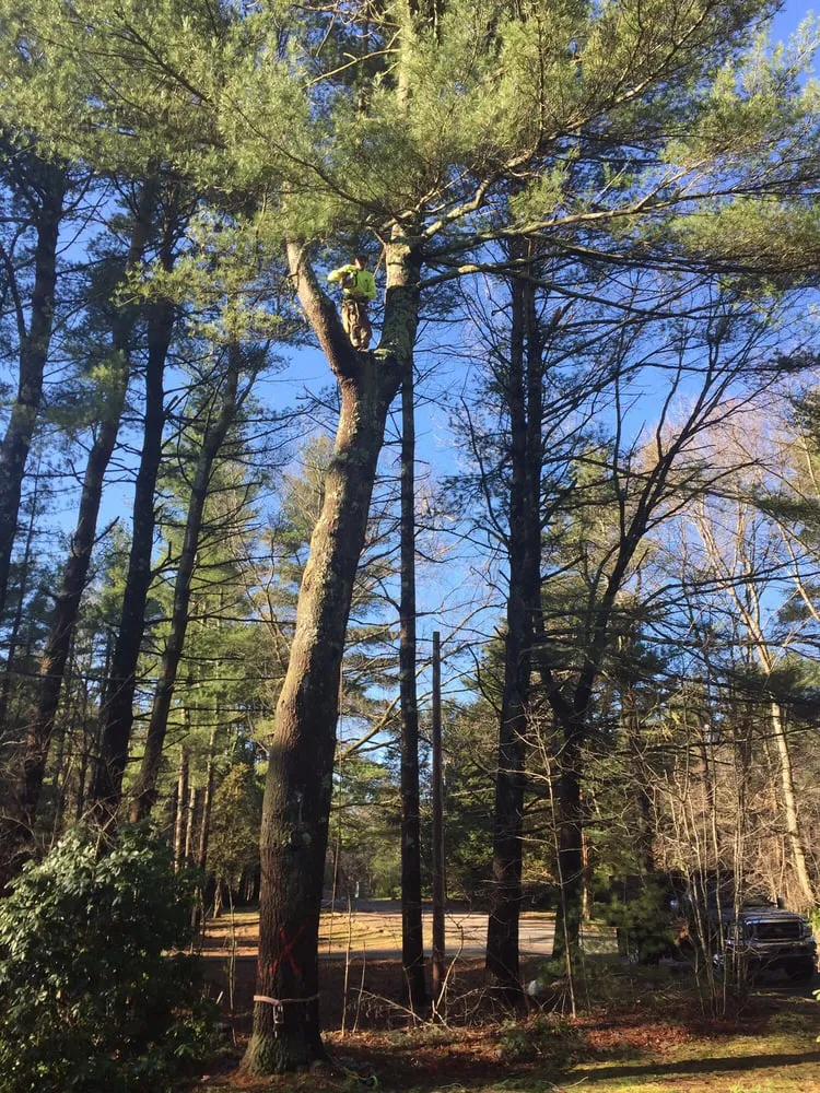 Trusted outdoor landscaping for homes in Easton, MA by PR Anderson Tree & Landscape