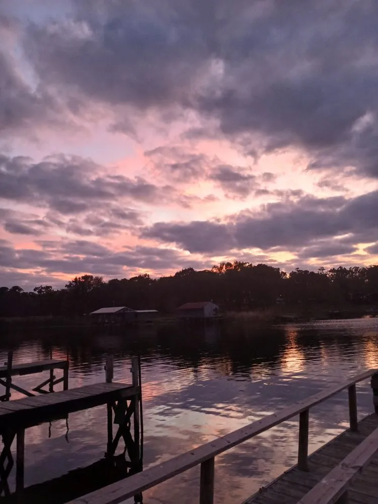 Affordable lawn care service for residential properties across Emory, TX - P&R Construction Pros