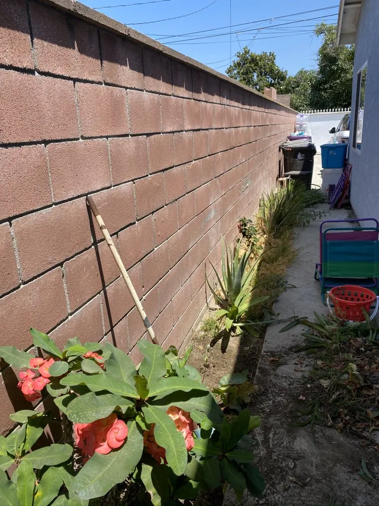 Trusted landscape design in Paramount, CA by PR Gardening