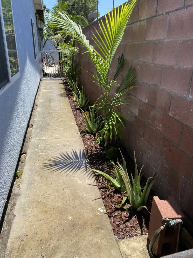 Reliable outdoor landscaping in Paramount, CA - PR Gardening