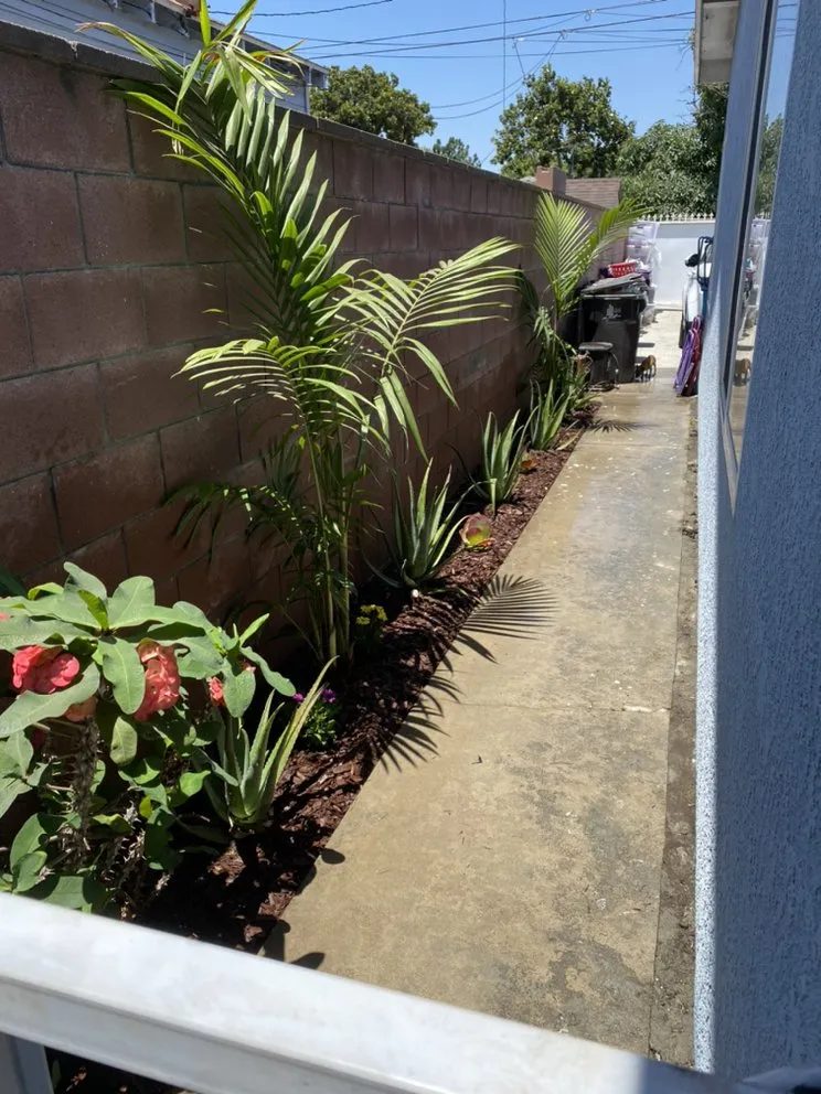 Affordable landscape design for homes in Paramount, CA by PR Gardening