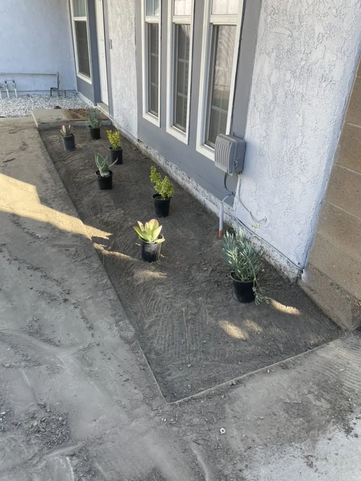 Affordable yard maintenance in Paramount, CA - PR Gardening