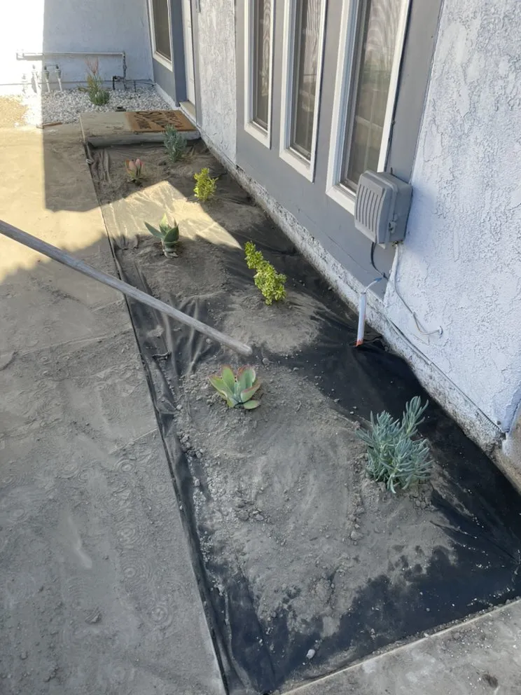 Affordable lawn mowing service with custom design across Paramount, CA - PR Gardening