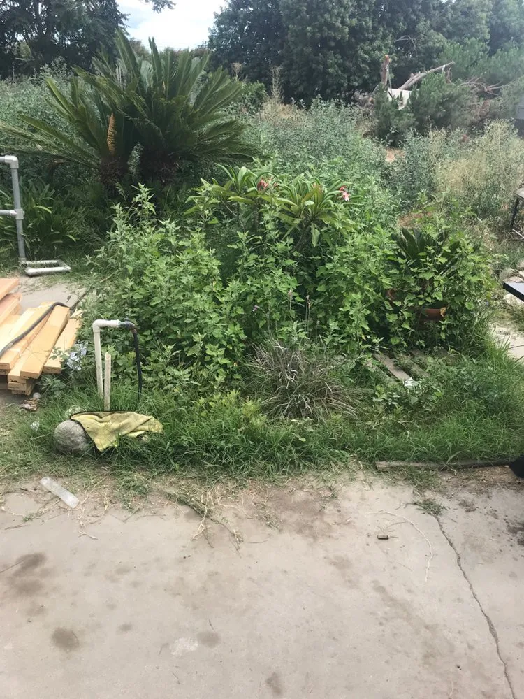 Local lawn care service with custom design across Paramount, CA - PR Gardening