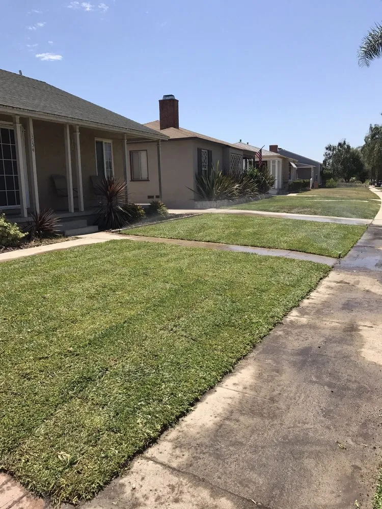 Local lawn mowing service experts serving Paramount, CA - PR Gardening