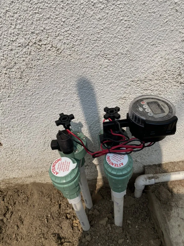 Local yard cleanup service for outdoor upgrades in Paramount, CA by PR Gardening