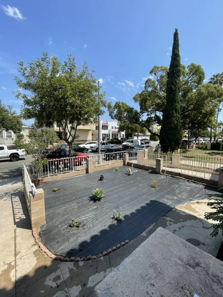 Local yard cleanup service experts serving Paramount, CA - PR Gardening