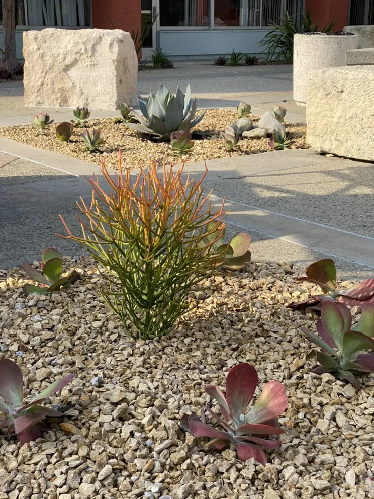 Top-rated lawn care service with custom design in Paramount, CA by PR Gardening