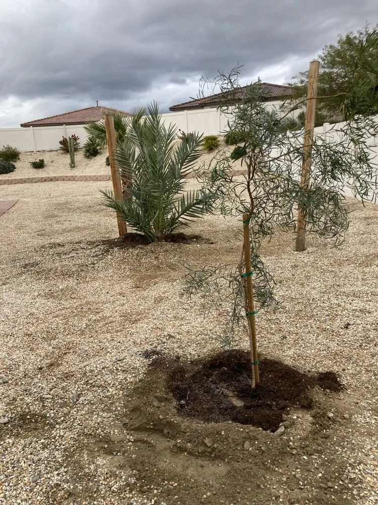 Professional lawn care service experts serving Coachella, CA - PR Irrigation