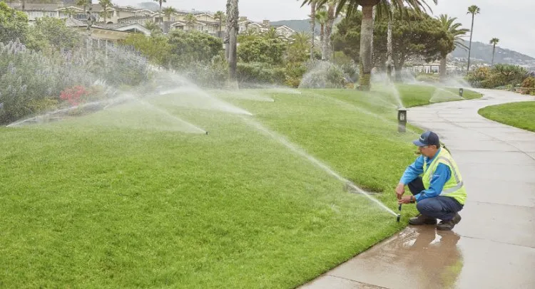 Top-rated residential landscaping with custom design across Coachella, CA - PR Irrigation