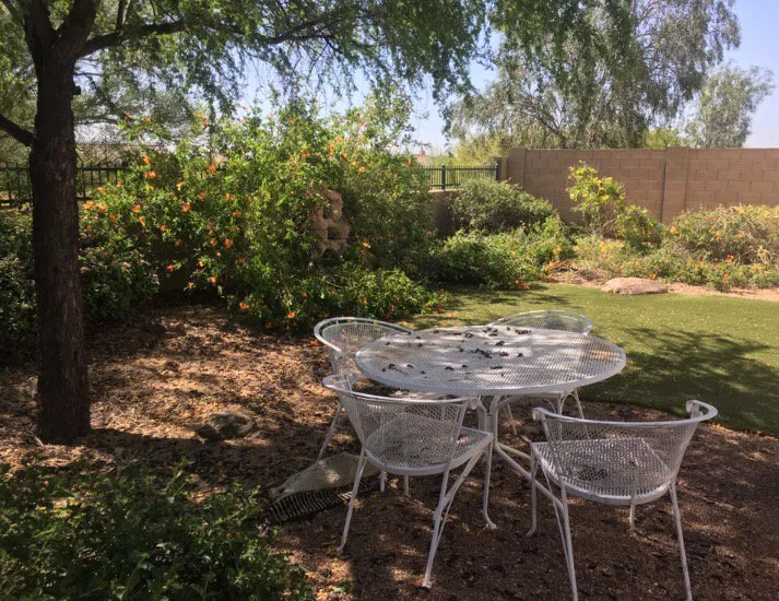 Reliable landscaping services for homes across Glendale, AZ - PR Landscape