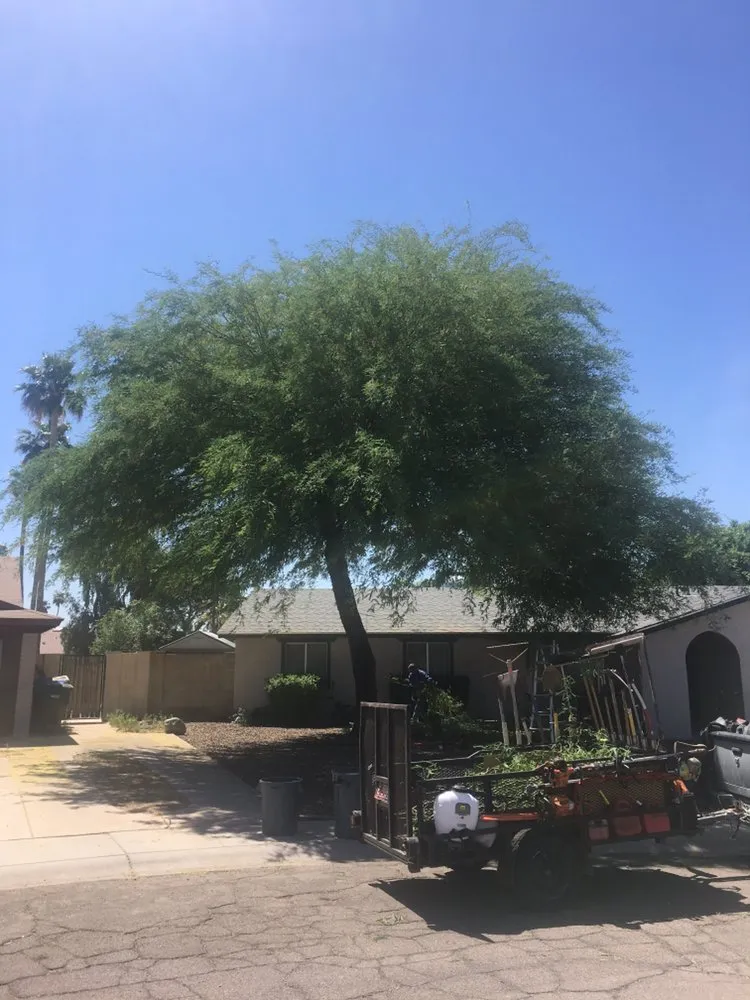 Trusted lawn mowing service experts serving Glendale, AZ - PR Landscape