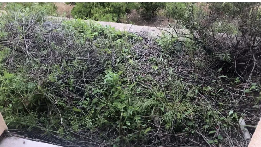 Professional landscape installation experts serving Cupertino, CA - PR Landscaping