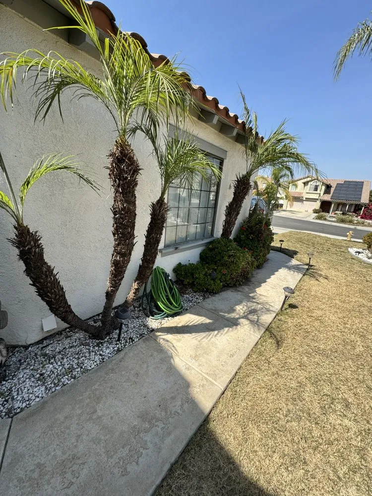 Expert yard maintenance with custom design across Moreno Valley, CA - PR Landscaping